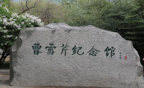 植物园图1